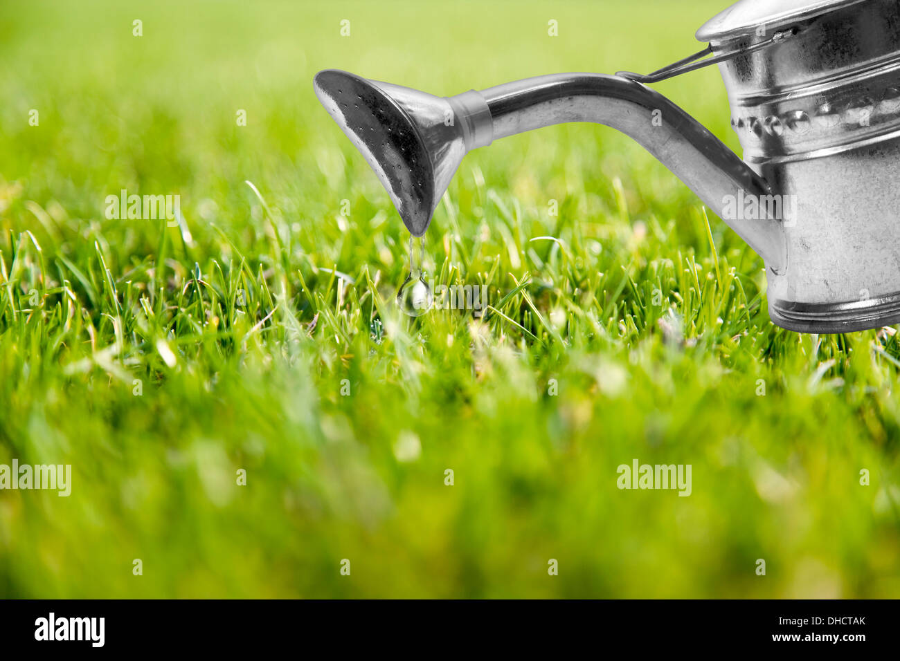 Pelouse avec arrosage, composer Banque D'Images