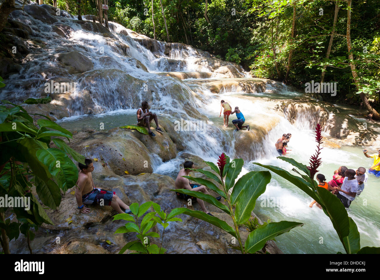 Dunns River Falls, Ocho Rios, Jamaïque, Antilles, Caraïbes, Amérique Centrale Banque D'Images