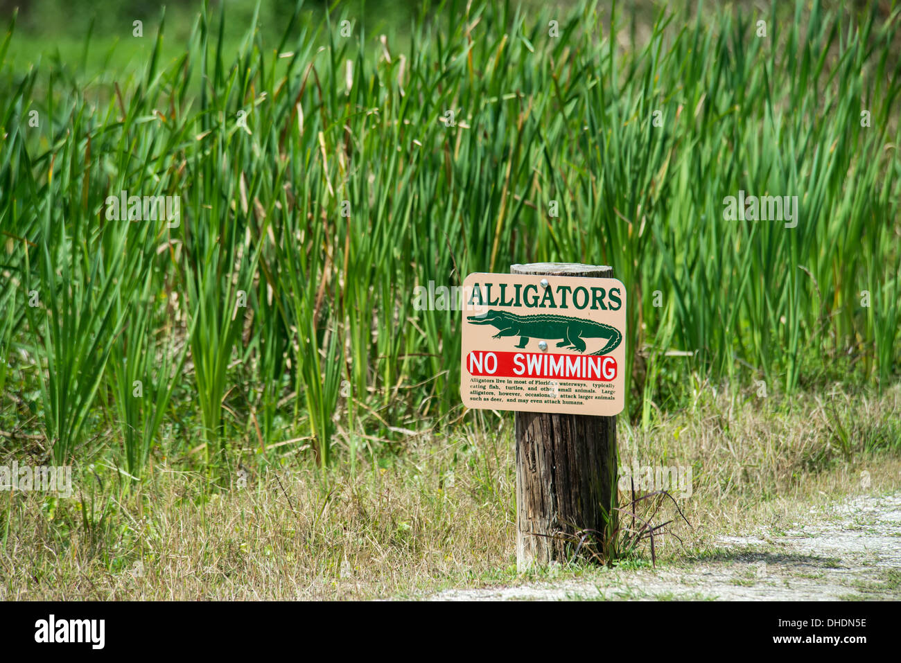 Panneau d'avertissement d'Alligator à Tosohatchee Wildlife Management Area, Florida, United States of America Banque D'Images