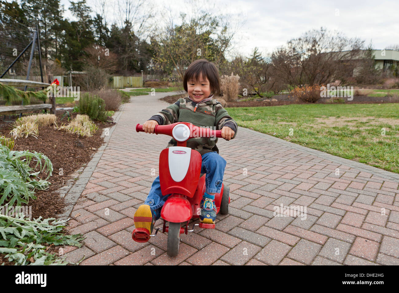 Asian child riding tricycle Radio Flyer Banque D'Images