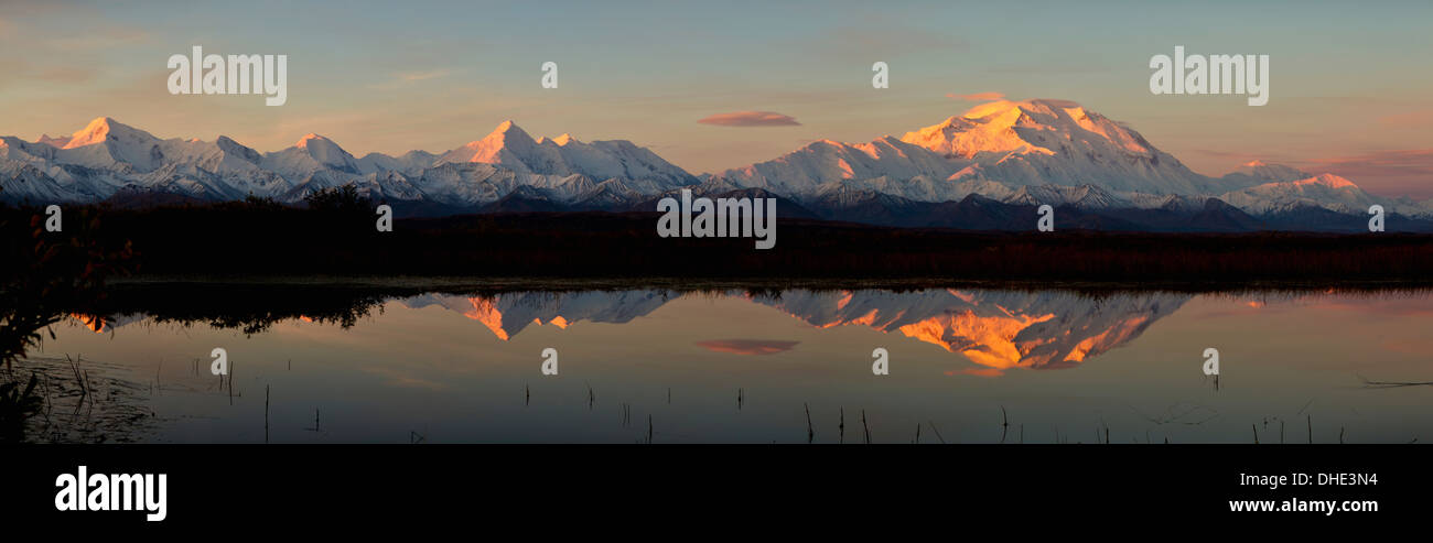 Alpenglow sur Mt. Mckinley, également connu sous le nom de Denali, reflétée dans l'étang de la Toundra au lever du soleil, Automne, Denali National Park Banque D'Images