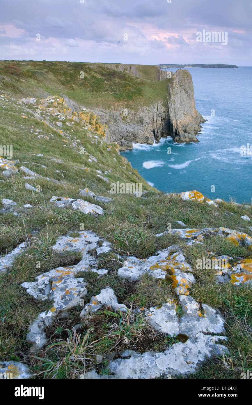 Les rochers s'élèvent de l'herbe sur Lydstep, tête de Pembrokeshire. L'île de Caldey peut être vu dans la distance Banque D'Images