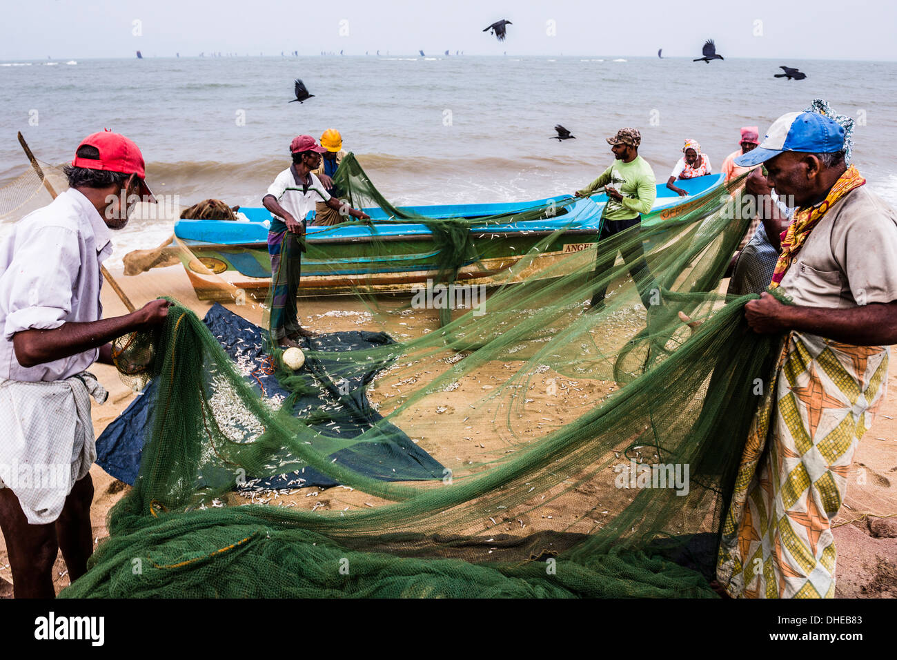 Marché aux poissons de Negombo Lellama (marché aux poissons), les pêcheurs contrôler leurs prises, Negombo, Sri Lanka, la Côte Ouest, l'Asie Banque D'Images