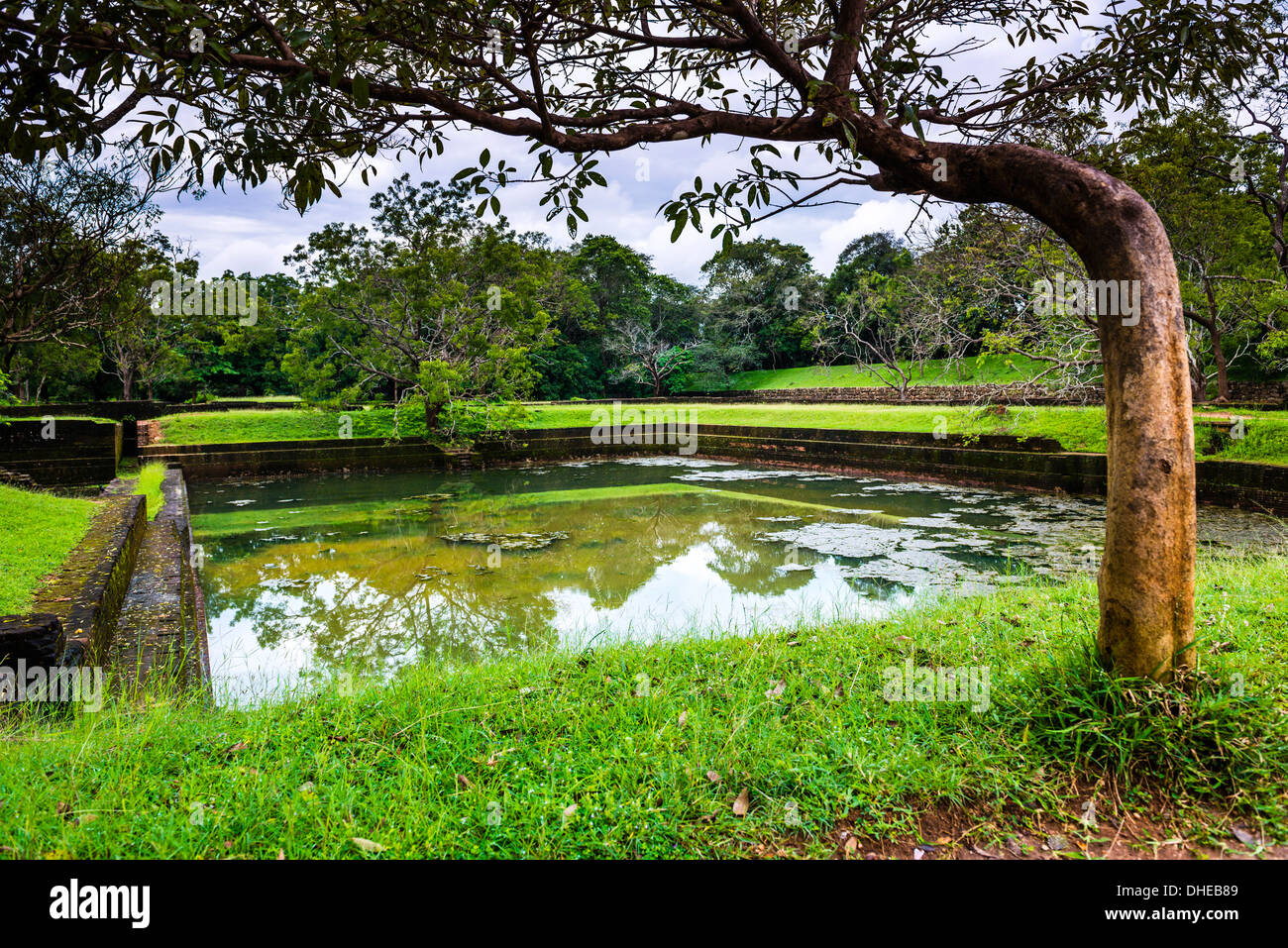 Les jardins de l'eau à la Forteresse de Sigiriya Rock (le Rocher du Lion), Sigiriya, Sri Lanka, Asie, Banque D'Images