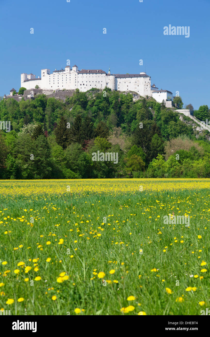 La forteresse de Hohensalzburg, Salzburg, Salzburger Land, Autriche, Europe Banque D'Images