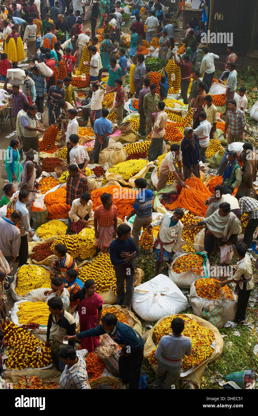 Mullik Ghat marché aux fleurs, Kolkata (Calcutta), West Bengal, Inde, Asie Banque D'Images