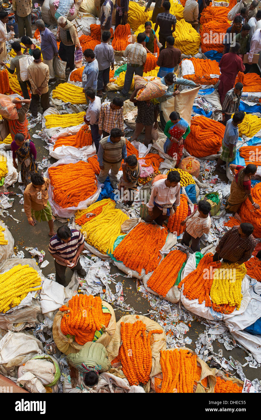 Mullik Ghat marché aux fleurs, Kolkata (Calcutta), West Bengal, Inde, Asie Banque D'Images