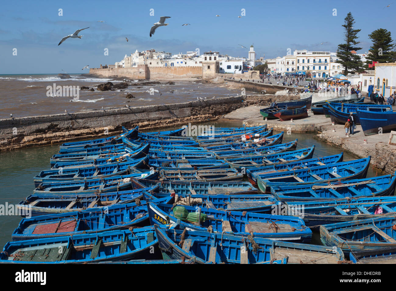 Vue sur le port de pêche vers les remparts et Medina, Essaouira, Côte Atlantique, Maroc, Afrique du Nord, Afrique Banque D'Images