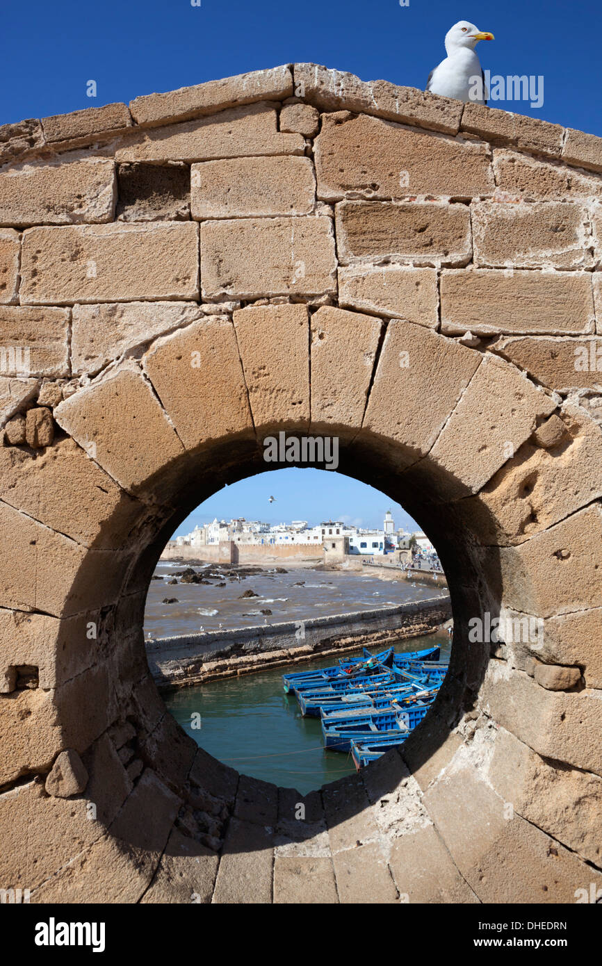 Vue de la médina et des remparts du vieux fort, Essaouira, Côte Atlantique, Maroc, Afrique du Nord, Afrique Banque D'Images