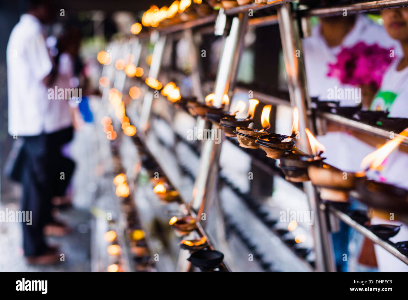 Bougies de prière au Sri Maha Bodhi dans le Mahavihara (le grand monastère), Anuradhapura, Sri Lanka, Asie Banque D'Images