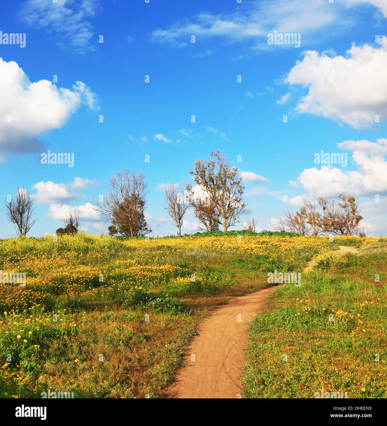 Le chemin de terre à travers les champs Banque D'Images