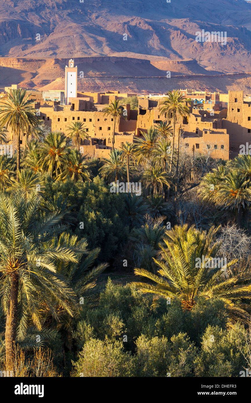 Tinerhir kasbahs et palmery, Tinghir, vallée de Todra, Maroc, Afrique du Nord, Afrique Banque D'Images