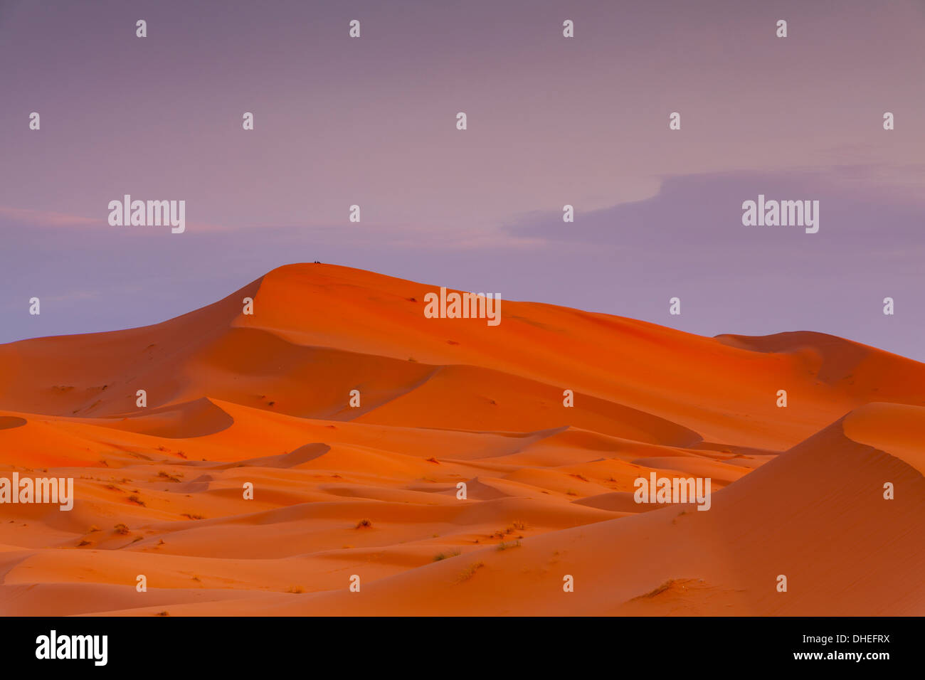 Dunes de sable, désert du Sahara, Merzouga, Maroc, Afrique du Nord, Afrique Banque D'Images