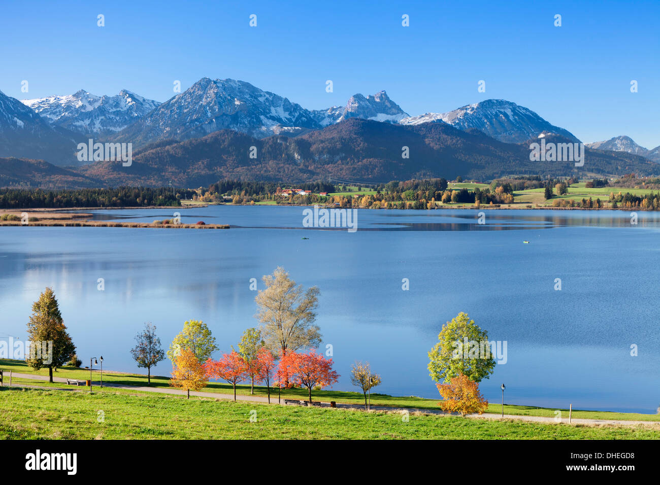 En automne, le lac Hopfensee Füssen, près de l'Allgau, Allgau Alpes, Bavaria, Germany, Europe Banque D'Images