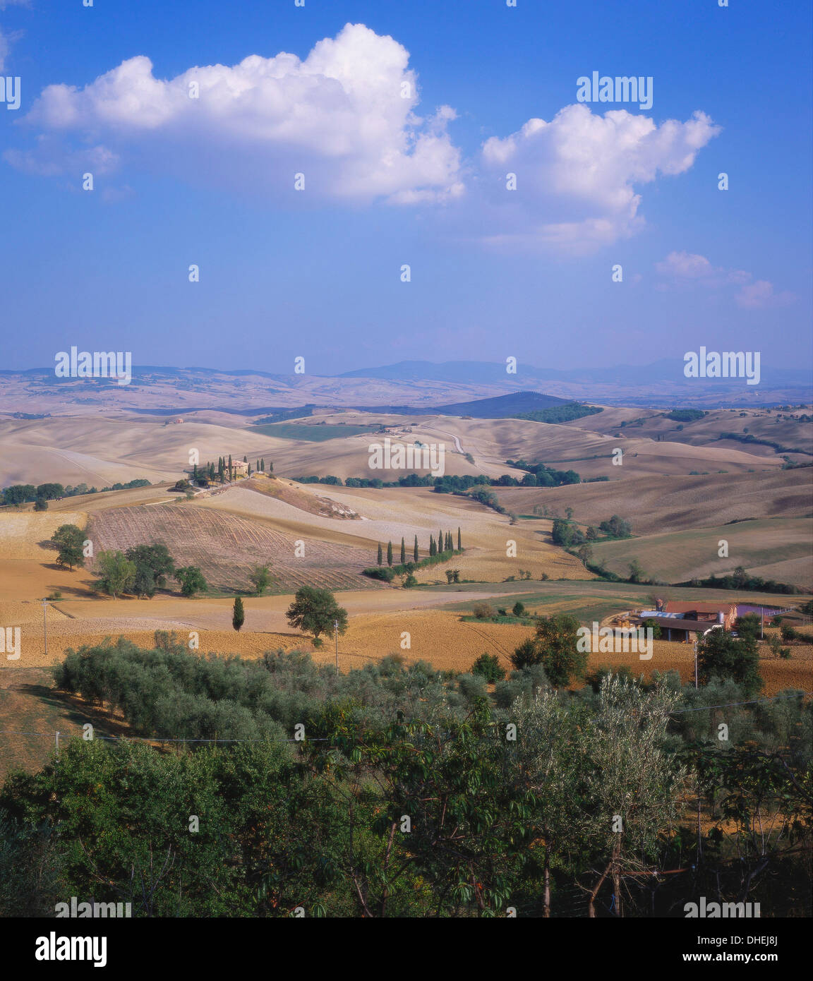 Portrait de la campagne toscane, italie Banque D'Images