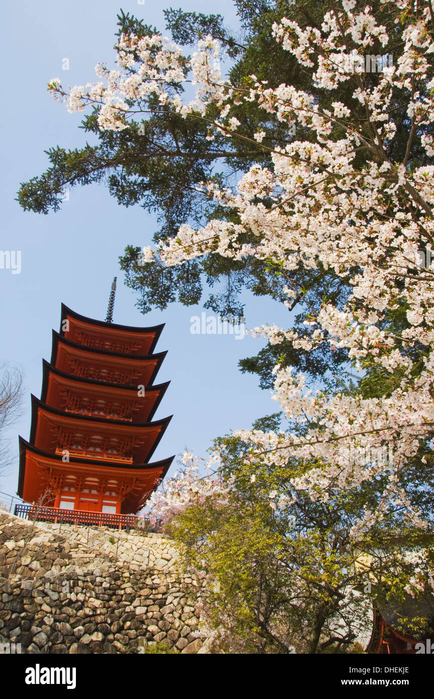 Cerisiers en fleurs du printemps à Senjokaku pagode de cinq étages, l'île de Miyajima, Site du patrimoine mondial de l'UNESCO, l'île de Honshu, Japon, Asie Banque D'Images
