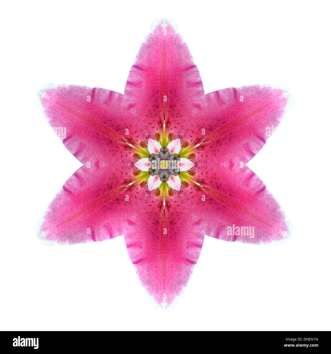 Fleur de Lys kaléidoscopique Mandala isolé sur fond blanc Banque D'Images