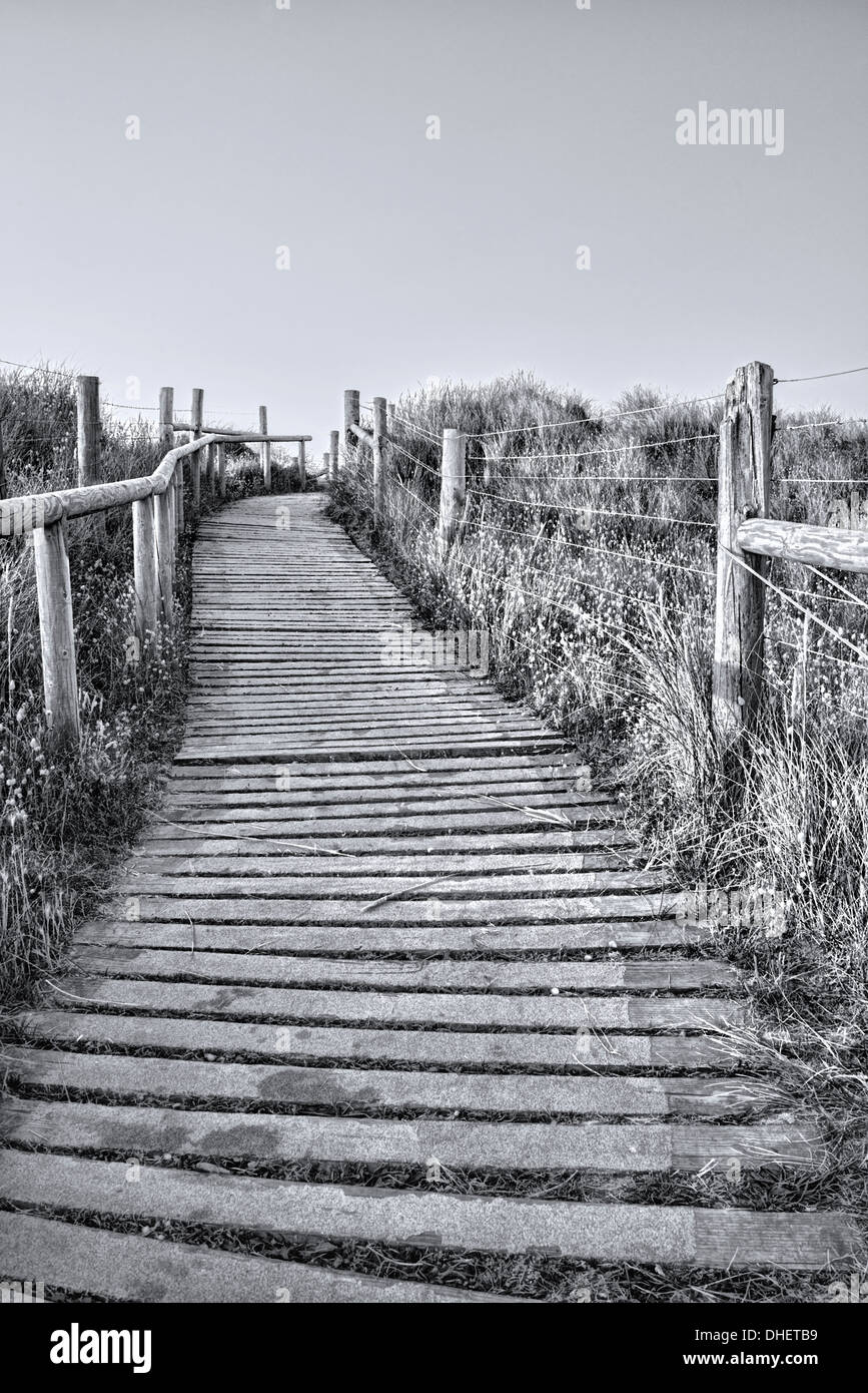 Noir et blanc de la plage de l'ouest dans l'escalier en bois Littlehampton, West Sussex, UK Banque D'Images