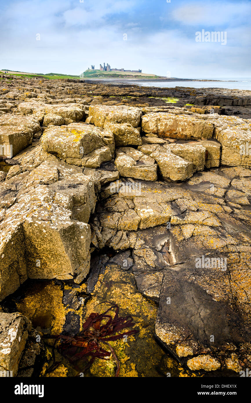 Château de Dunstanburgh, Craster, Northunberland, England, UK, FR Banque D'Images