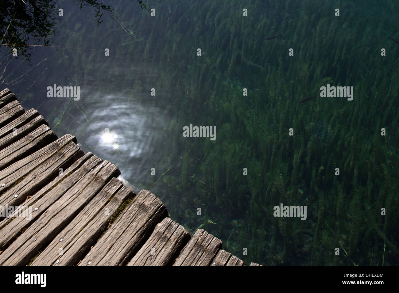 Sur un sentier dans le parc national des Lacs de Plitvice, Croatie Banque D'Images