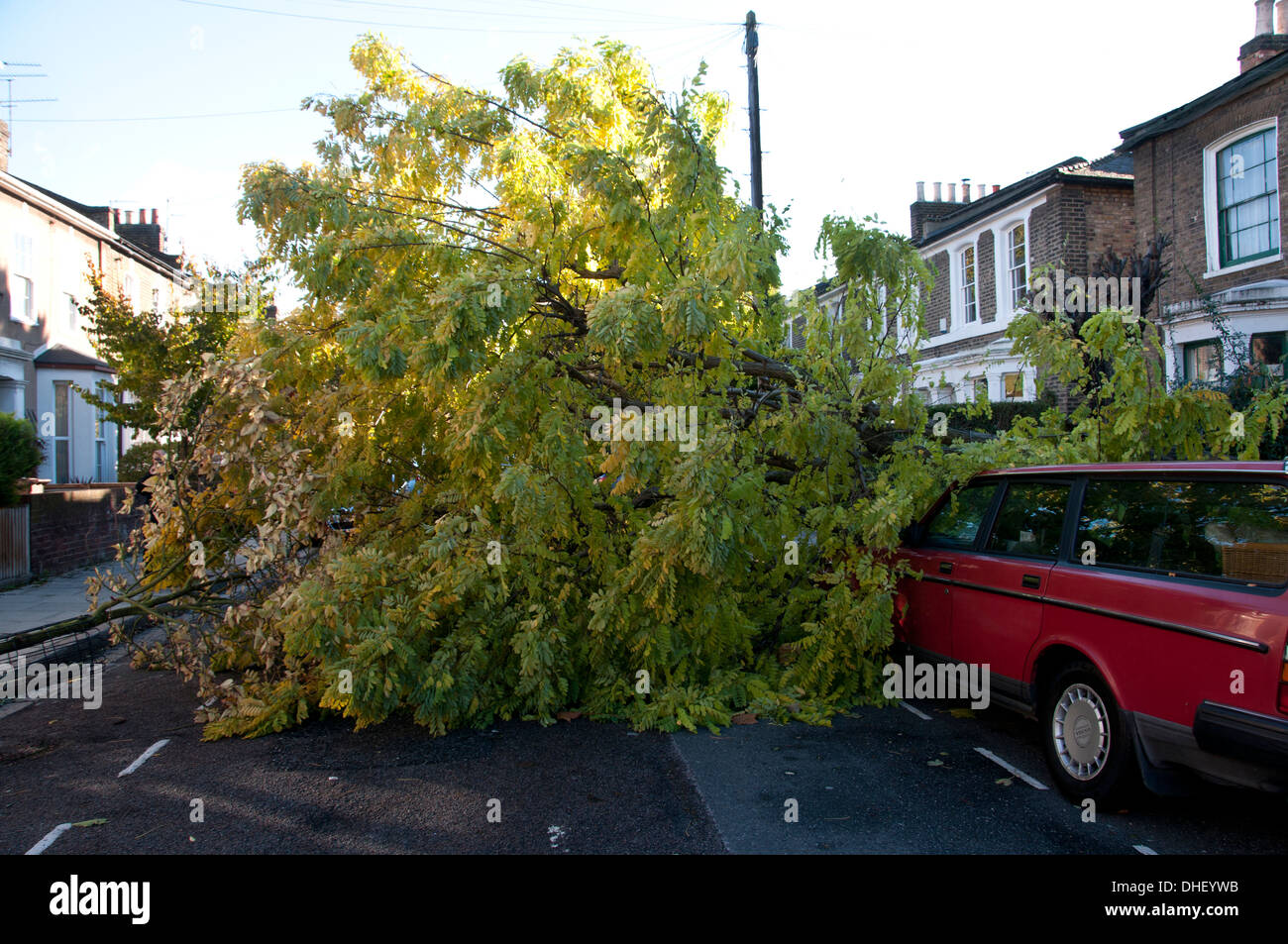 Tempête de st Jude le 28 octobre 2013. Hackney , l'Est de Londres. Un arbre tombé bloque la route. Banque D'Images