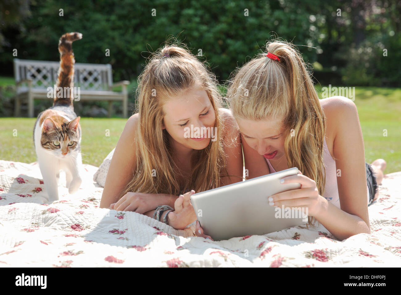 Deux adolescentes on picnic blanket looking at digital tablet Banque D'Images