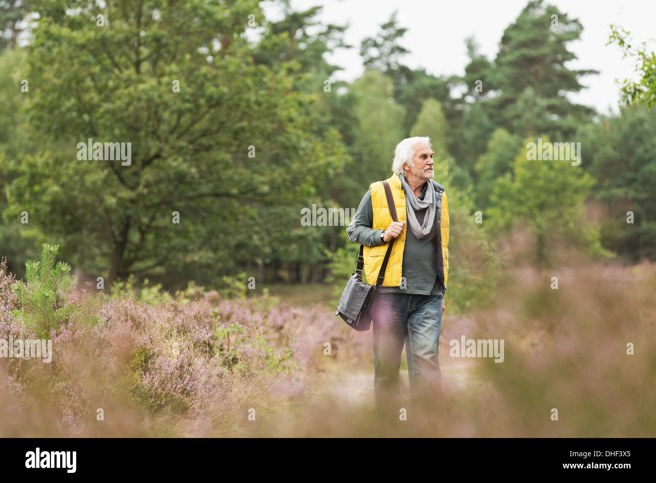 Man Walking in meadow Banque D'Images Man Walking in meadow Banque D'Images
