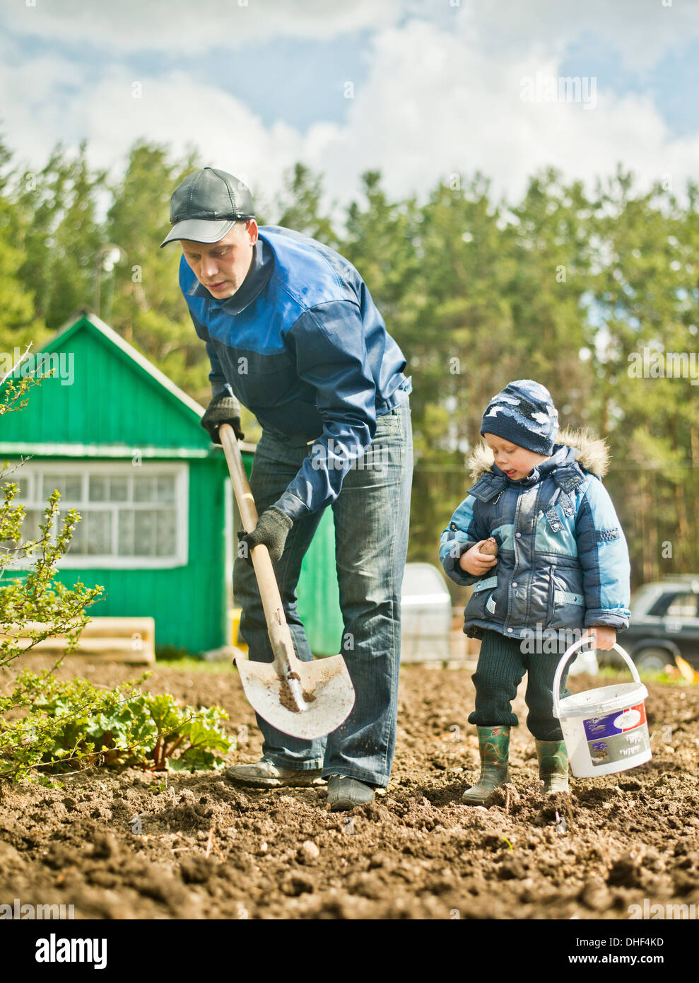 Le père et le petit garçon creuser jardin allotissement Banque D'Images