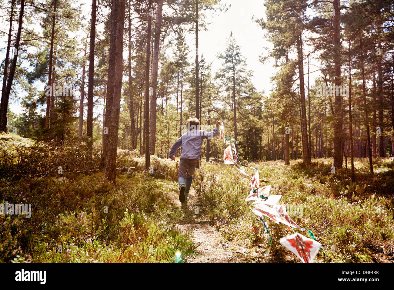 Boy running through forest pulling bunting Banque D'Images