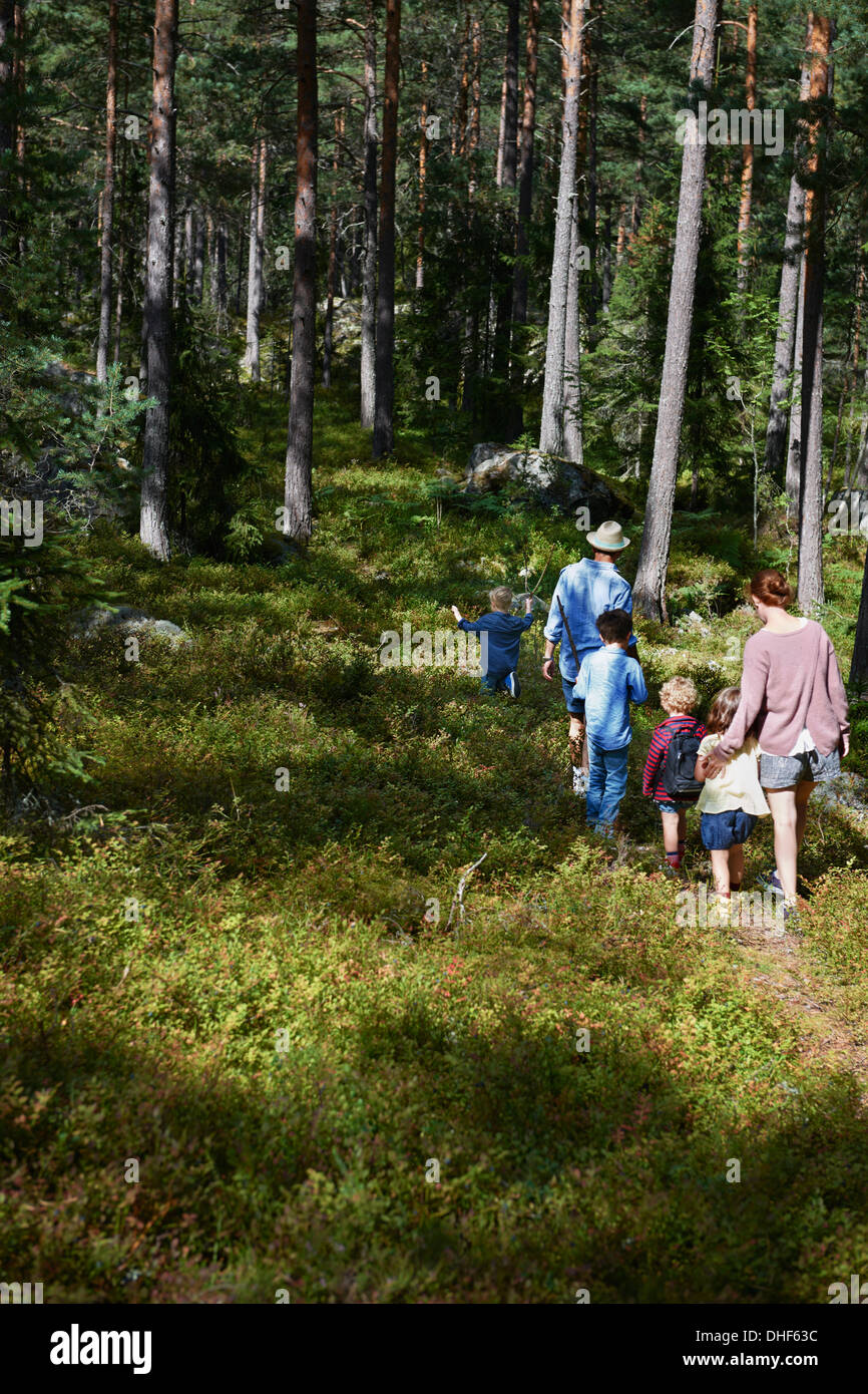 Balades en famille à travers la forêt Banque D'Images