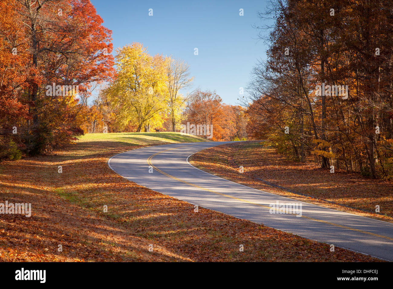 L'automne le long de la Natchez Trace Parkway, West Virginia, USA Banque D'Images
