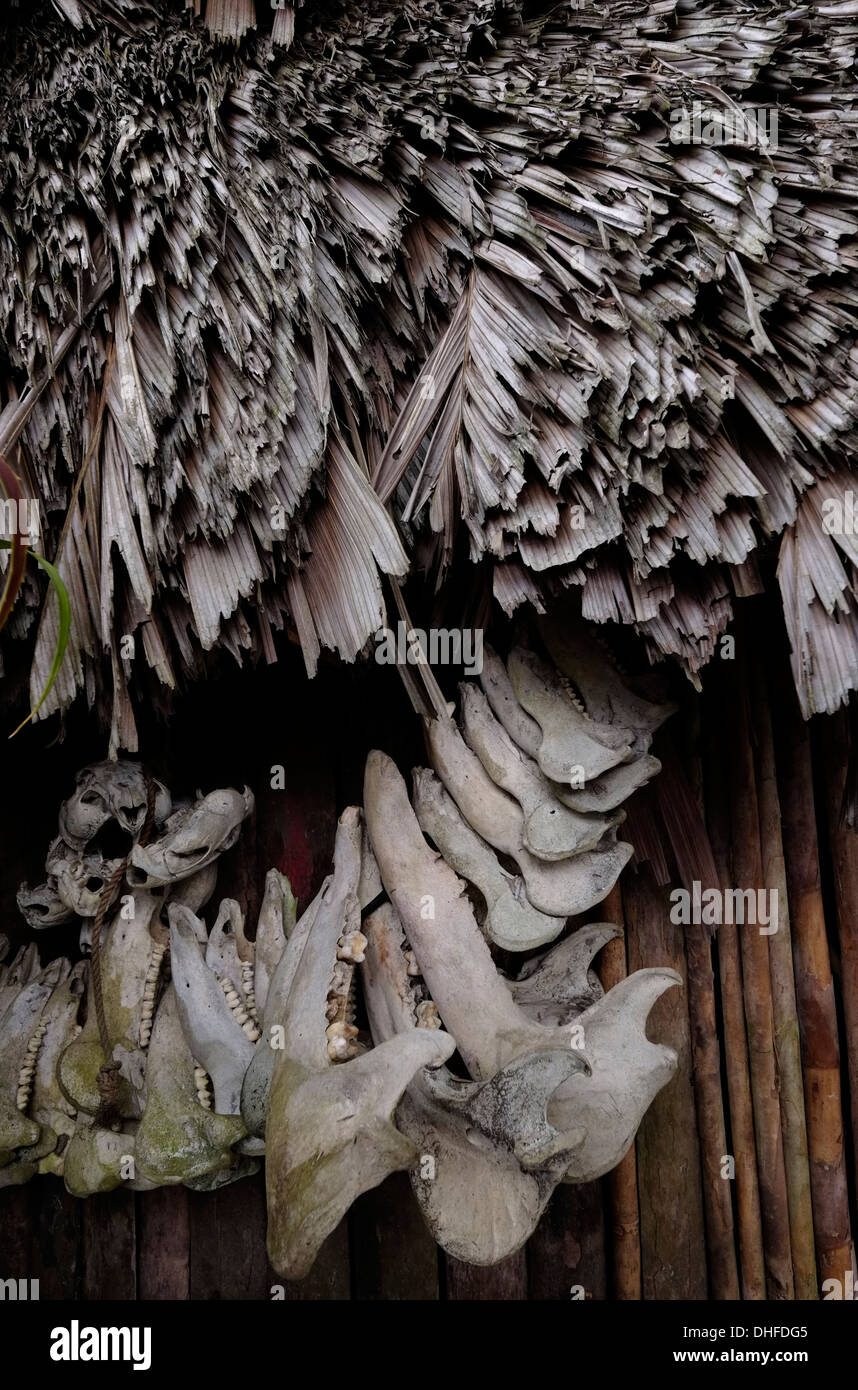 Des os d'animaux de la décoration d'une chambre dans Sugtupu Carti island village administré par Guna autochtones connue sous le nom de la "Comarca Kuna" (région) de la Guna Yala située dans l'archipel de San Blas Blas dans le nord-est du Panama vers la mer des Caraïbes. Banque D'Images