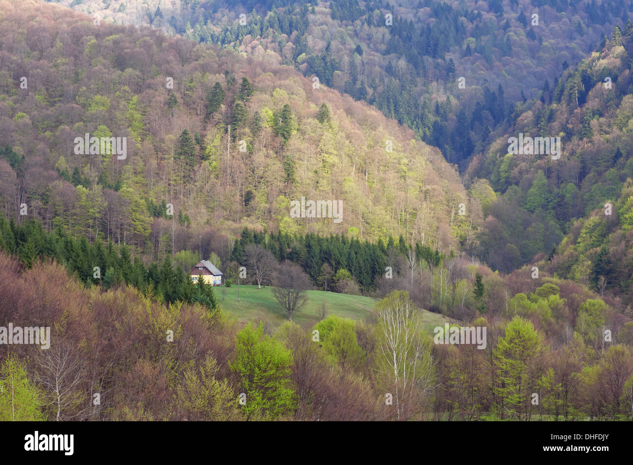 Maison indépendante dans les Carpates Banque D'Images