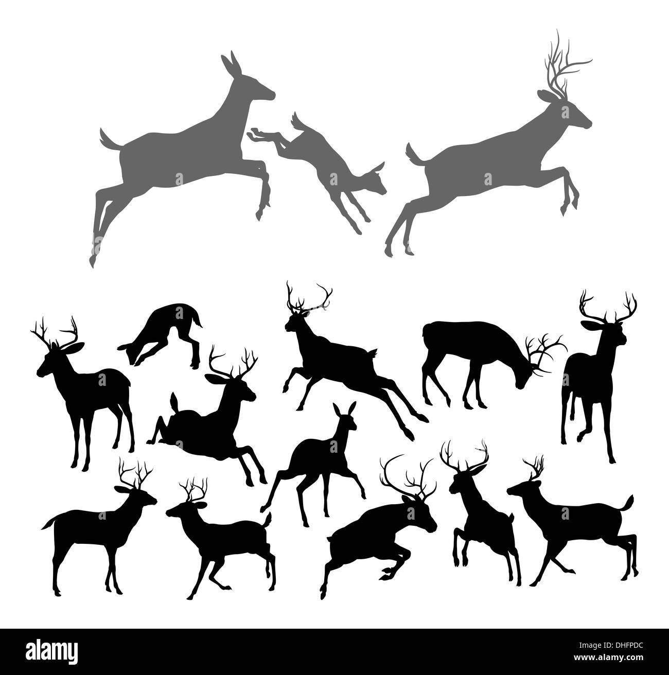 Silhouettes de cerfs y compris le faon, biche d'argent et de cerf. Comprend la famille groupe d'enterrement de biche et faon courir et sauter ensemble Banque D'Images