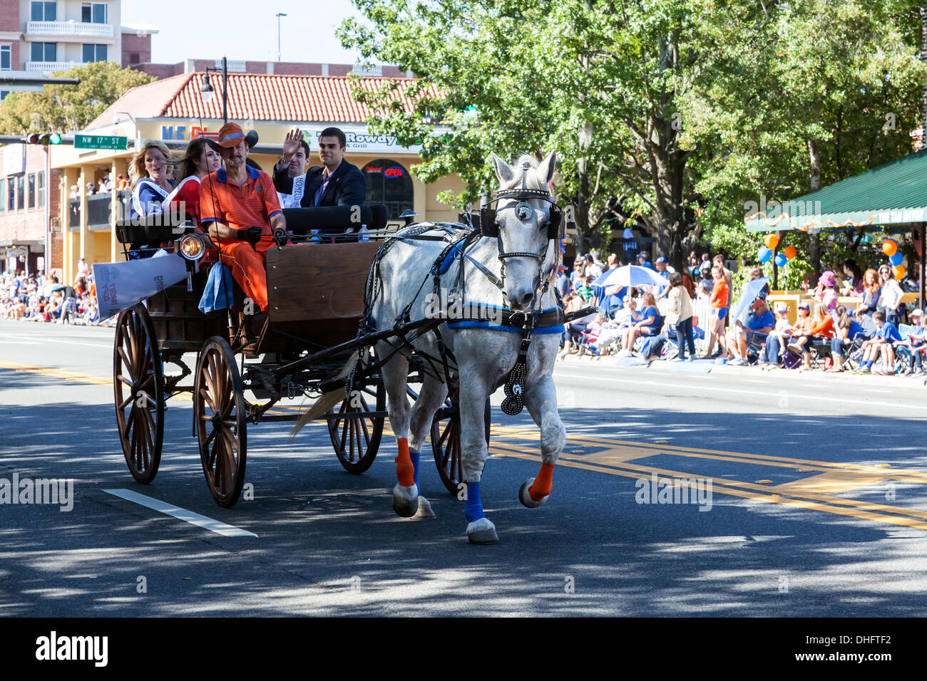 Cheval blanc tirant un chariot dans l'Université de Floride Homecoming Parade 2013 à Gainesville, Floride, USA. Banque D'Images