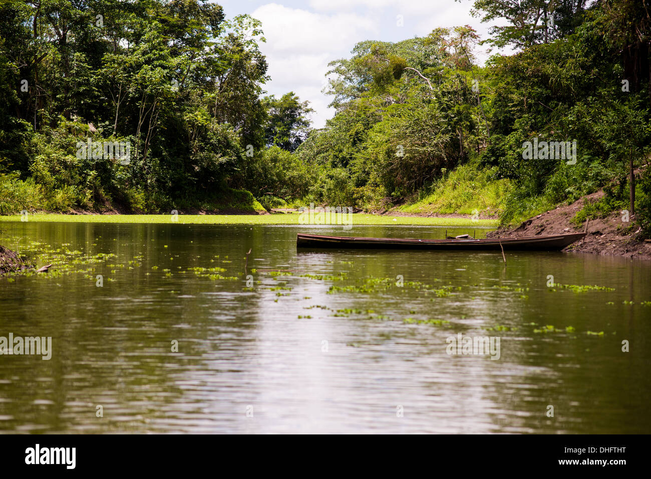 Un canoë dans un bras du lac Yarinacocha off à Pucallpa, Pérou, - une partie de la rivière Ucayali, qui se jette dans l'Amazone. Banque D'Images