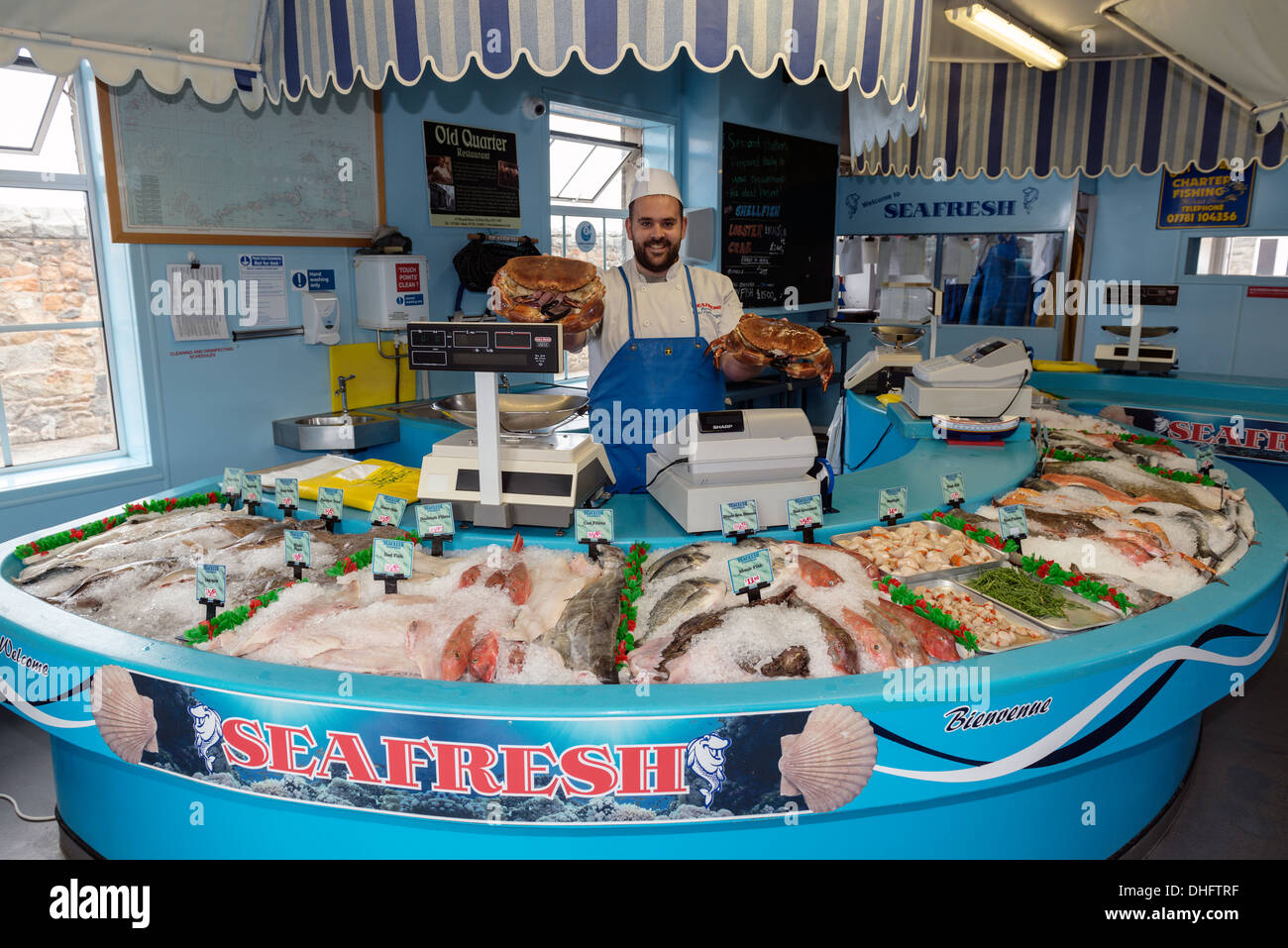 Poissonnier tenant deux tourteaux comestibles à l'appareil photo. Seafresh pêches, St Peter Port, Guernsy, Channel Islands Banque D'Images