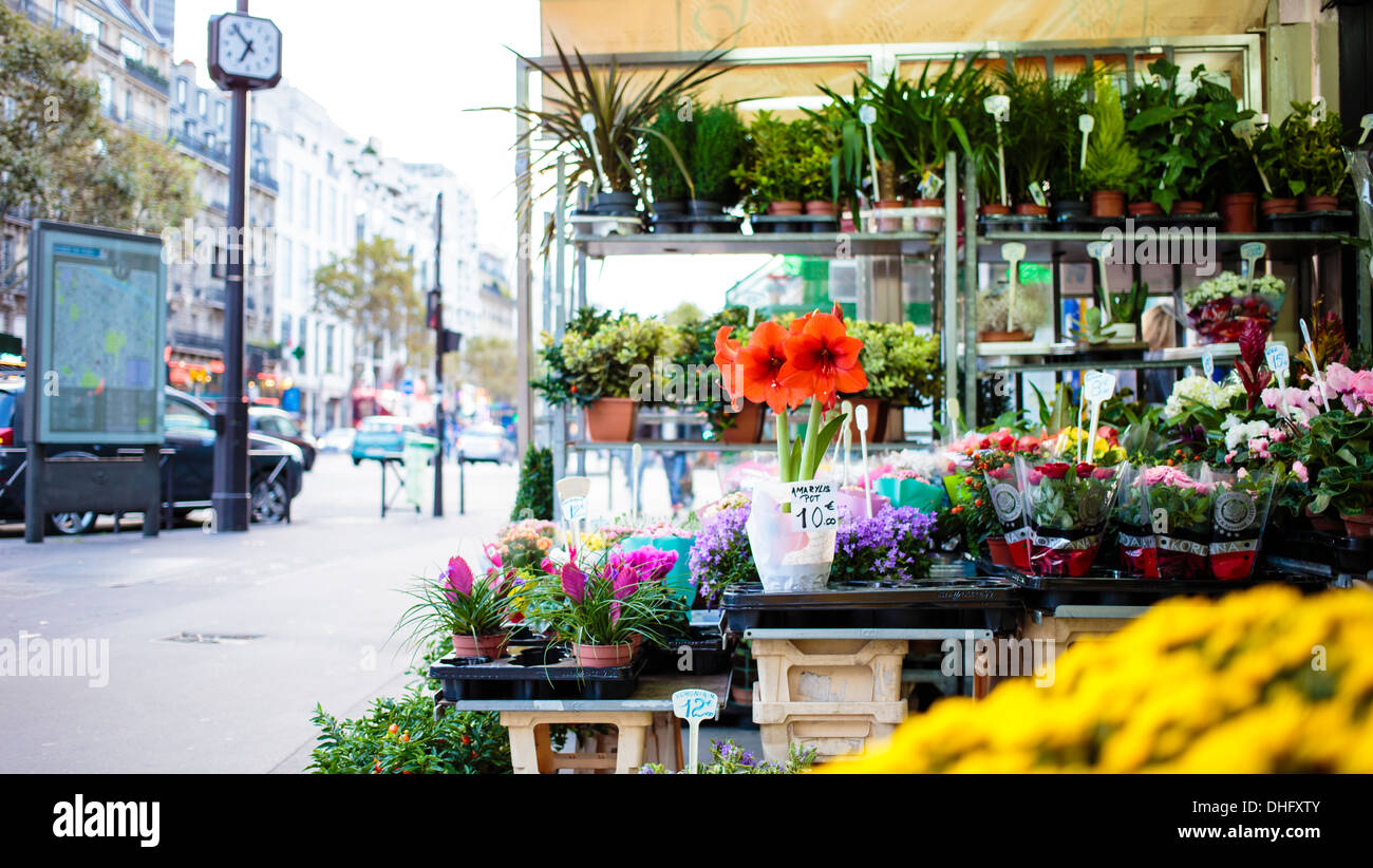 Le magasin de fleurs au boulevard du Montparnasse à Paris, France Banque D'Images