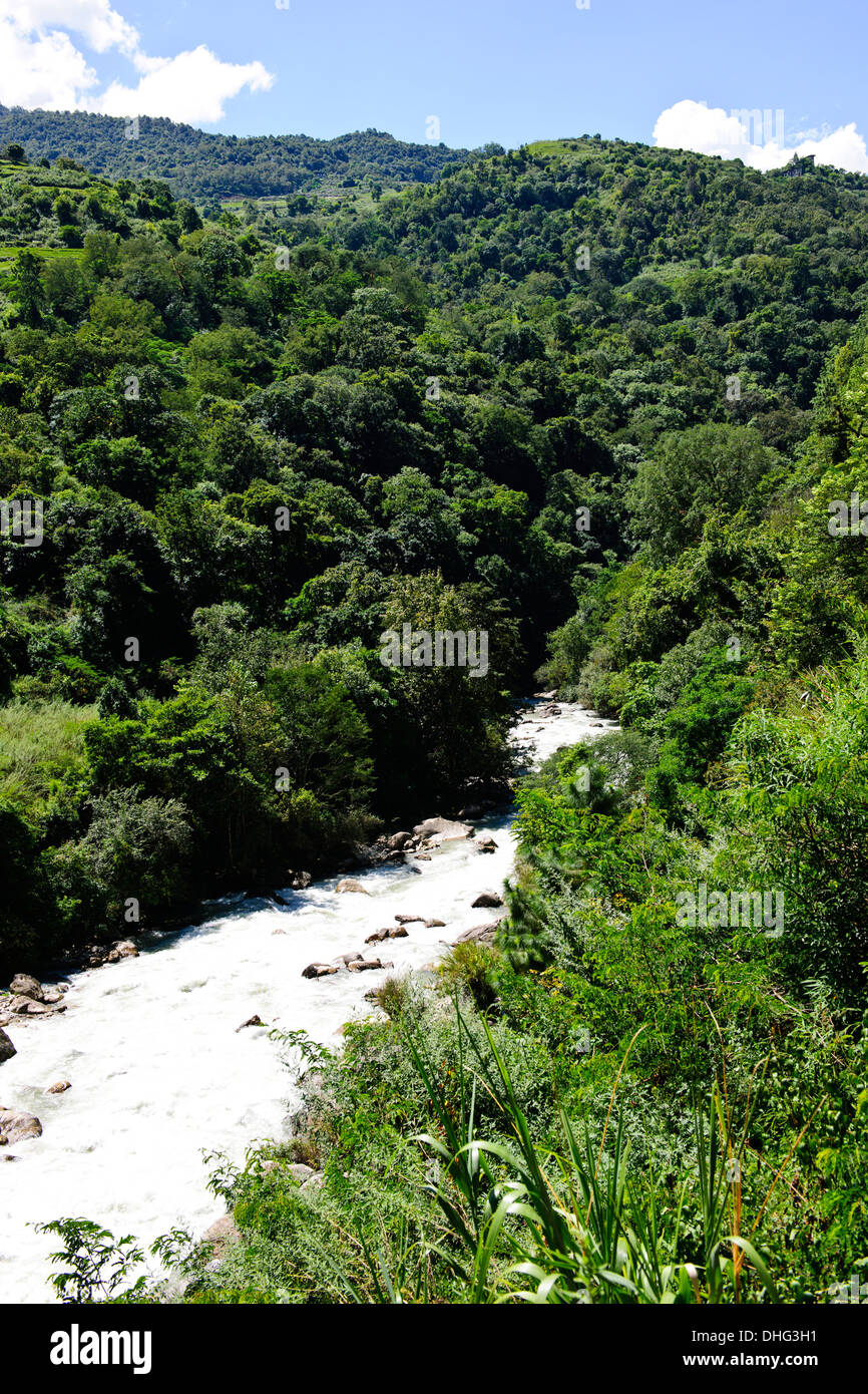 Dang chhu river valley,campagne,côté colline de fermes, champs de rizières, forêts, rivières vierges,ferme,maisons,sur thimphu road,Bhoutan Banque D'Images