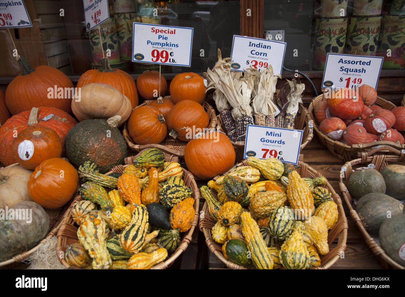 Marché alimentaire affichage des courges d'automne, des gourdes et des citrouilles à Manhattan, New York. Banque D'Images