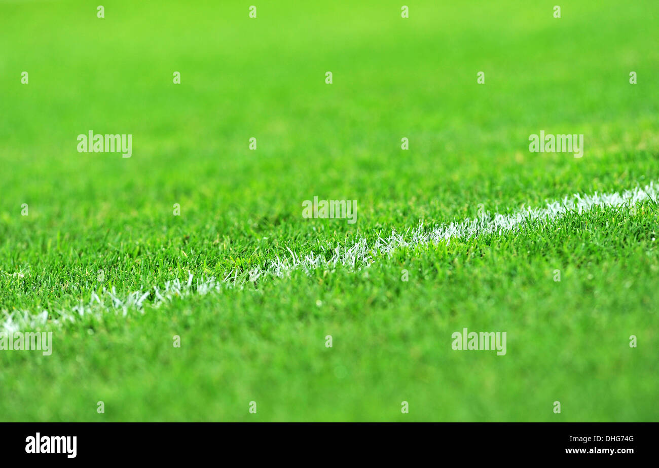 Close-up of a white stripe peint sur un nouveau terrain de football gazon Banque D'Images