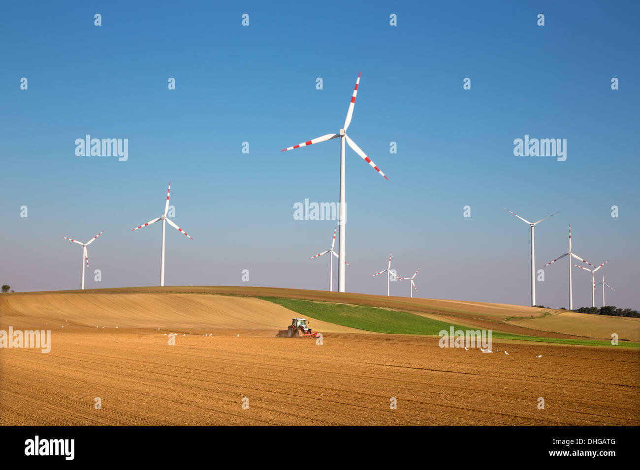 Champs d'éoliennes et de l'automne dans l'Est de l'Autriche Banque D'Images