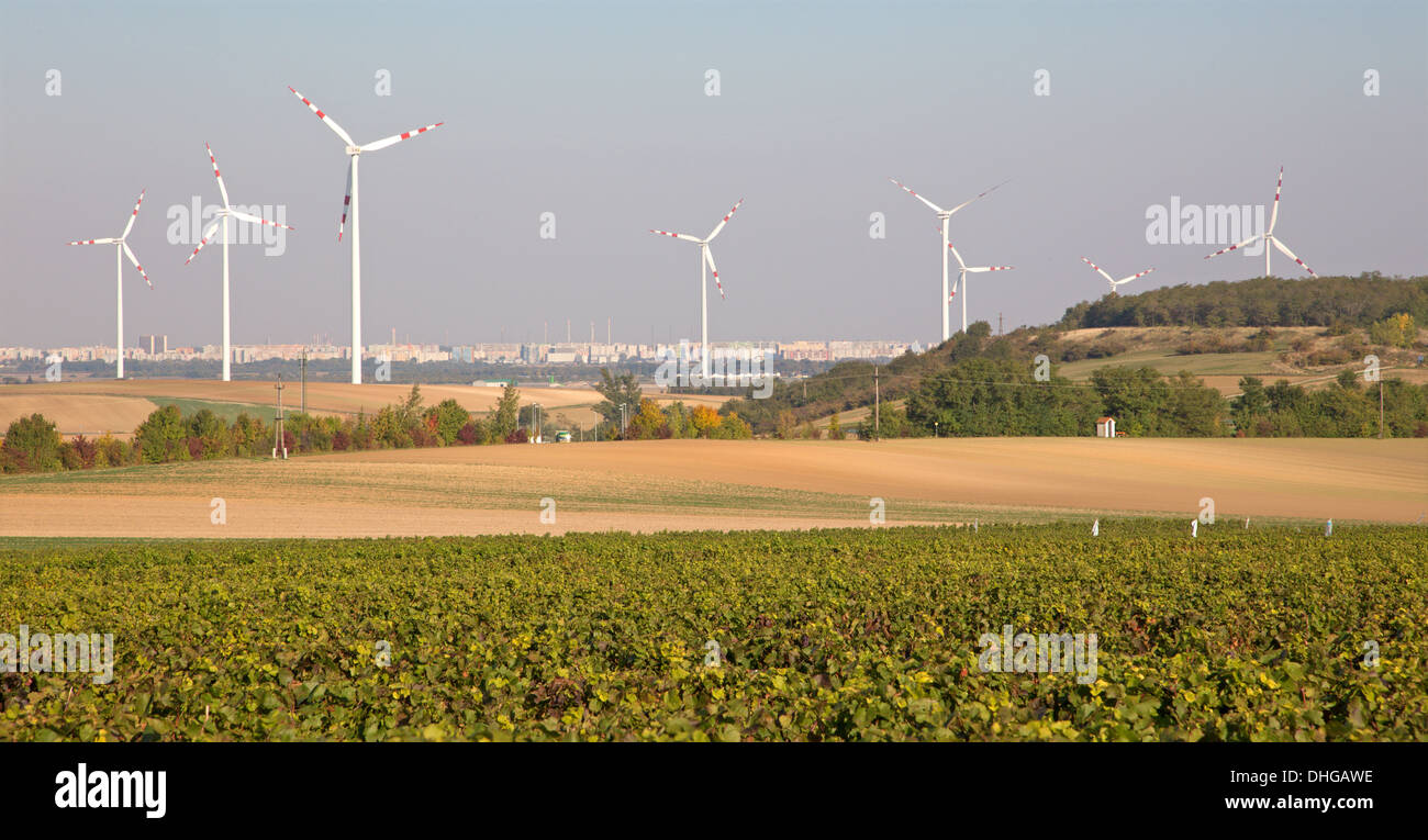 Wind turbine et de l'automne dans les vignobles à l'est l'Autriche Banque D'Images
