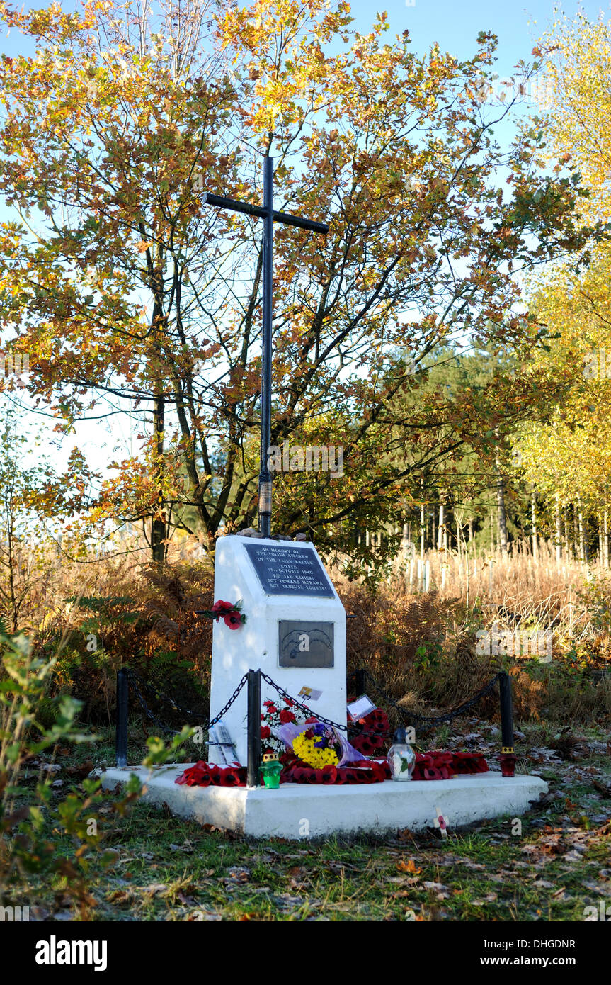 Calverton,Bretagne,UK.10ème Novembre 2013.Polish cross memorial ,le 13 octobre 1940 Un équipage de l'air polonaise (nombre d'mosovion,300 e escadron) qui luttent pour les alliés étaient de retour à leur base, à RAF Rungis.Après un raid de bombardement réussie,leur frappé 'fairy battle'avion est descendu à Calverton woods tuant les trois membres d'équipage . Banque D'Images