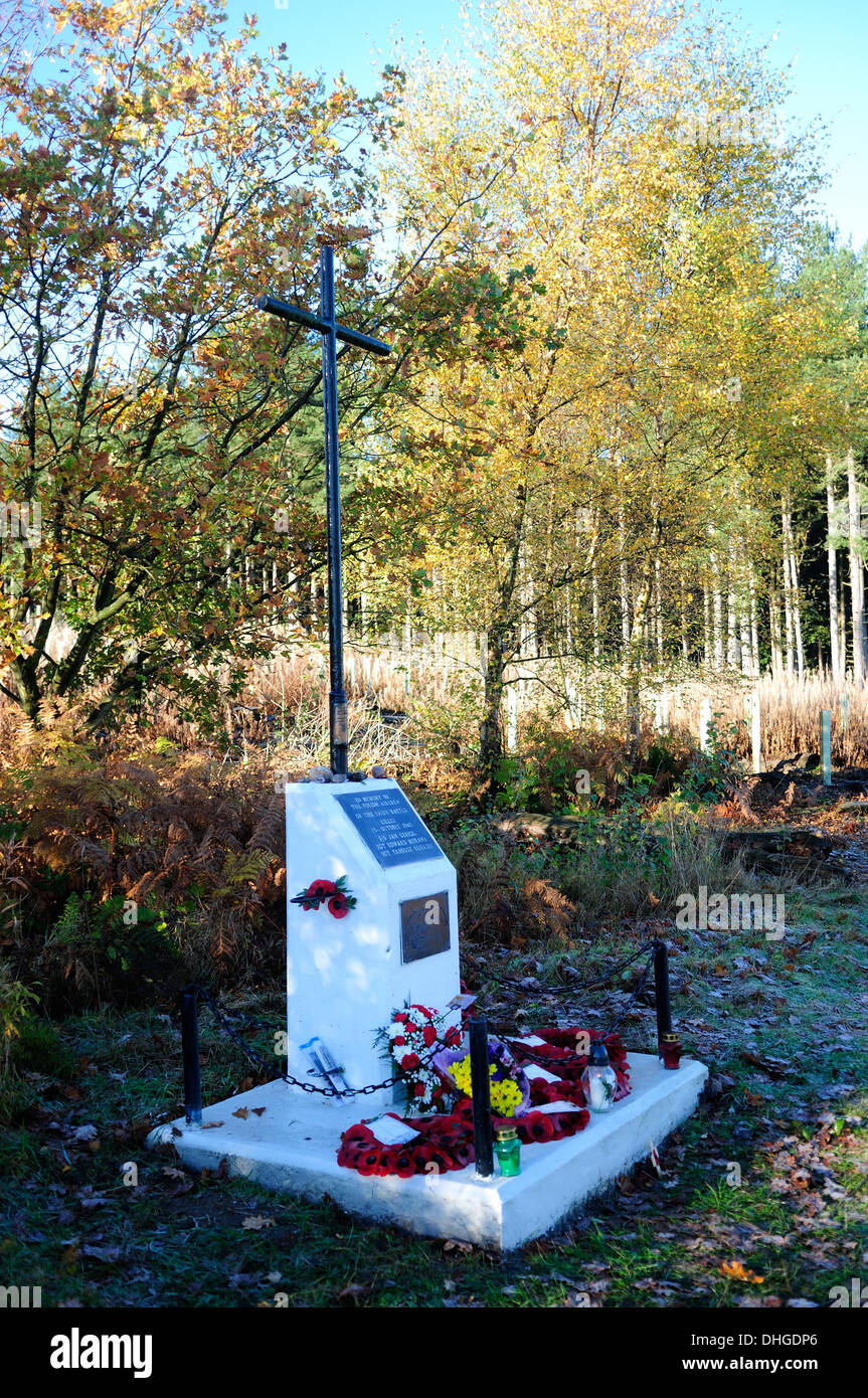 Calverton,Bretagne,UK.10ème Novembre 2013.Polish cross memorial ,le 13 octobre 1940 Un équipage de l'air polonaise (nombre d'mosovion,300 e escadron) qui luttent pour les alliés étaient de retour à leur base, à RAF Rungis.Après un raid de bombardement réussie,leur frappé 'fairy battle'avion est descendu à Calverton woods tuant les trois membres d'équipage . Banque D'Images
