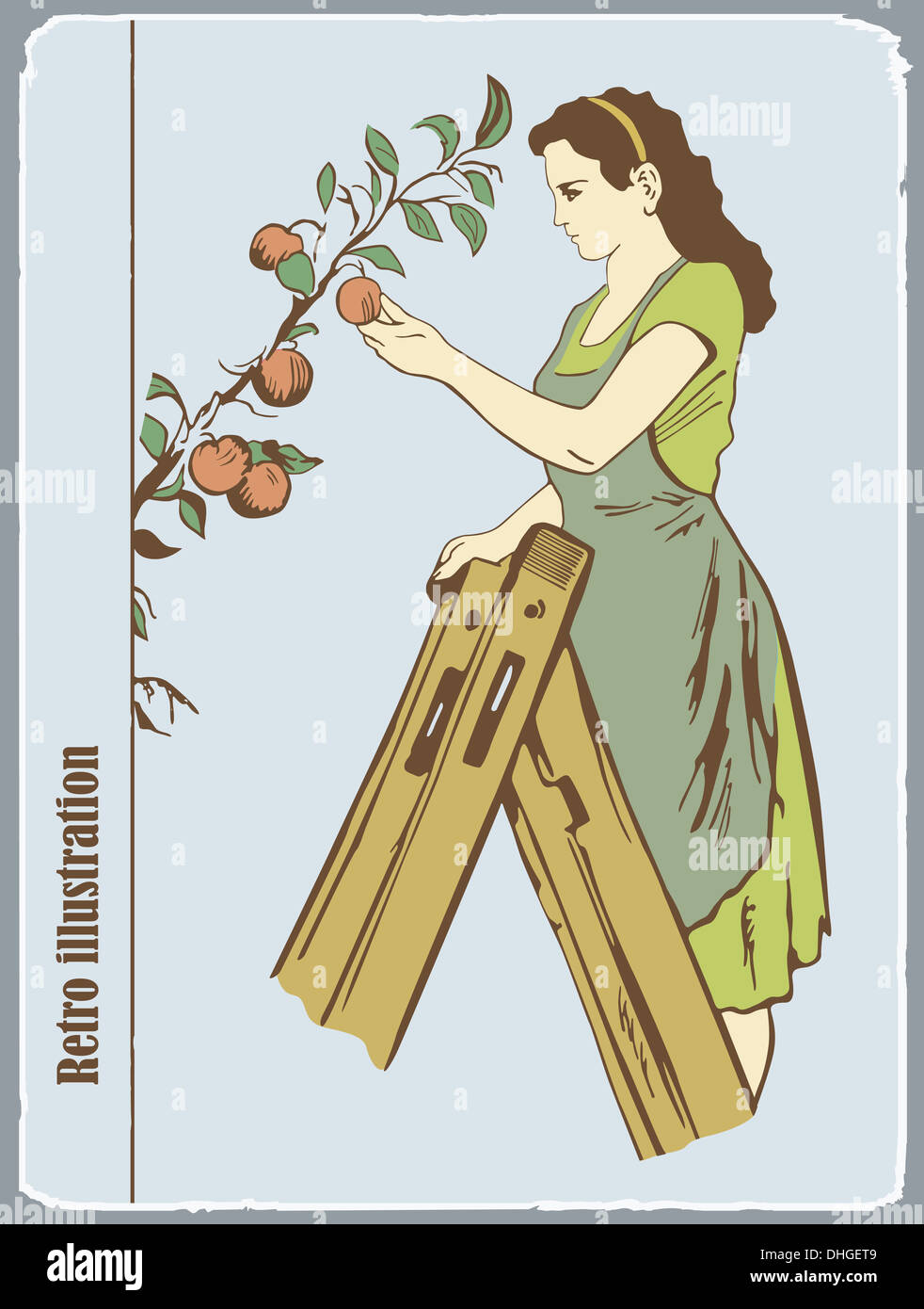 Une illustration rétro, la femme recueille des pommes d'un arbre Banque D'Images