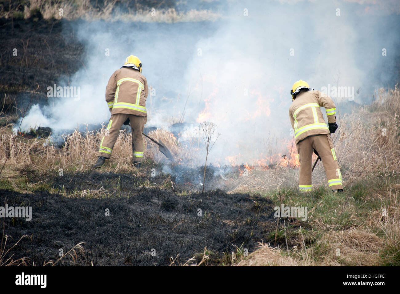À l'aide des pompiers de fouets sur feu d'herbe gelée Banque D'Images