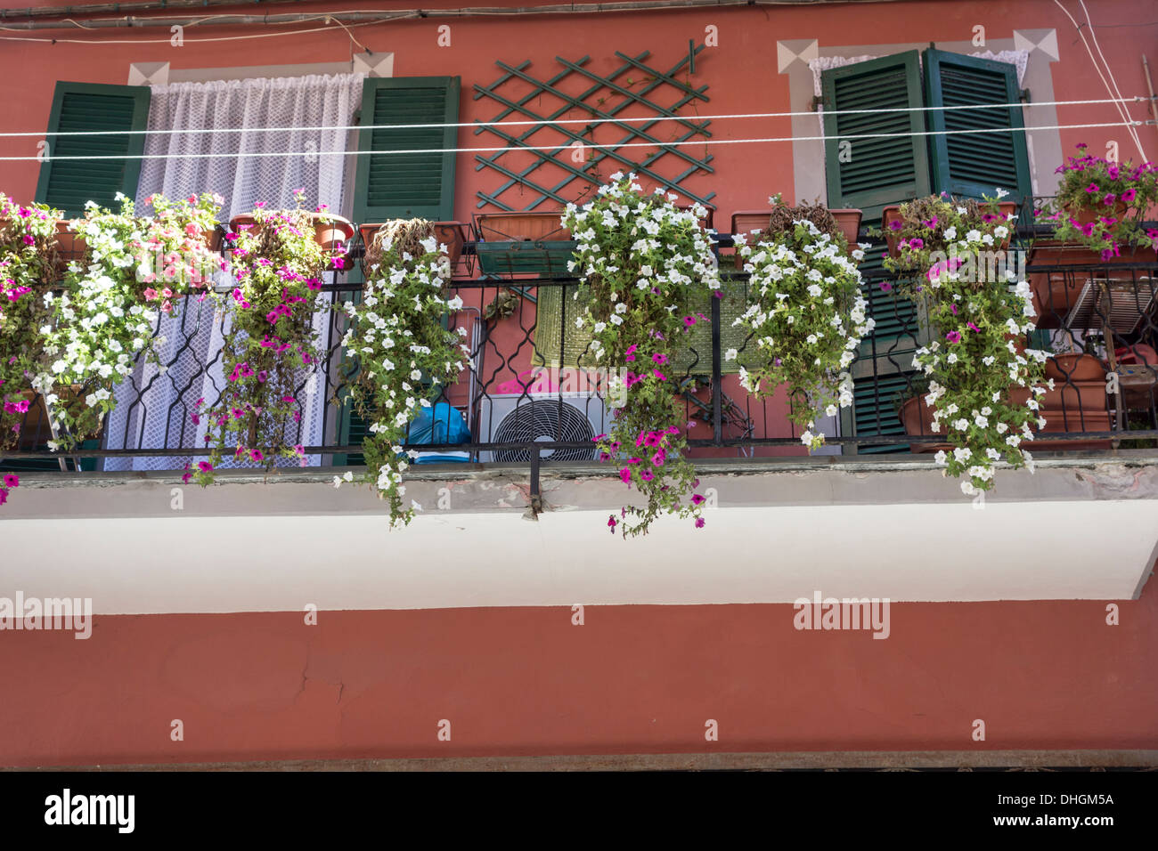 Belles fleurs dans le parc des Cinque Terre - Italie. Banque D'Images