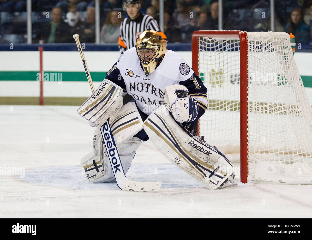 South Bend, Indiana, USA. Nov 8, 2013. 08 novembre 2013 : Notre Dame Steven Summerhays gardien (1) match de hockey NCAA au cours de l'action entre la Cathédrale Notre Dame Fighting Irish et les Minnesota Golden Gophers à Compton Famille Ice Arena à South Bend, Indiana. Notre Dame a battu Minnesota 4-1. © csm/Alamy Live News Banque D'Images