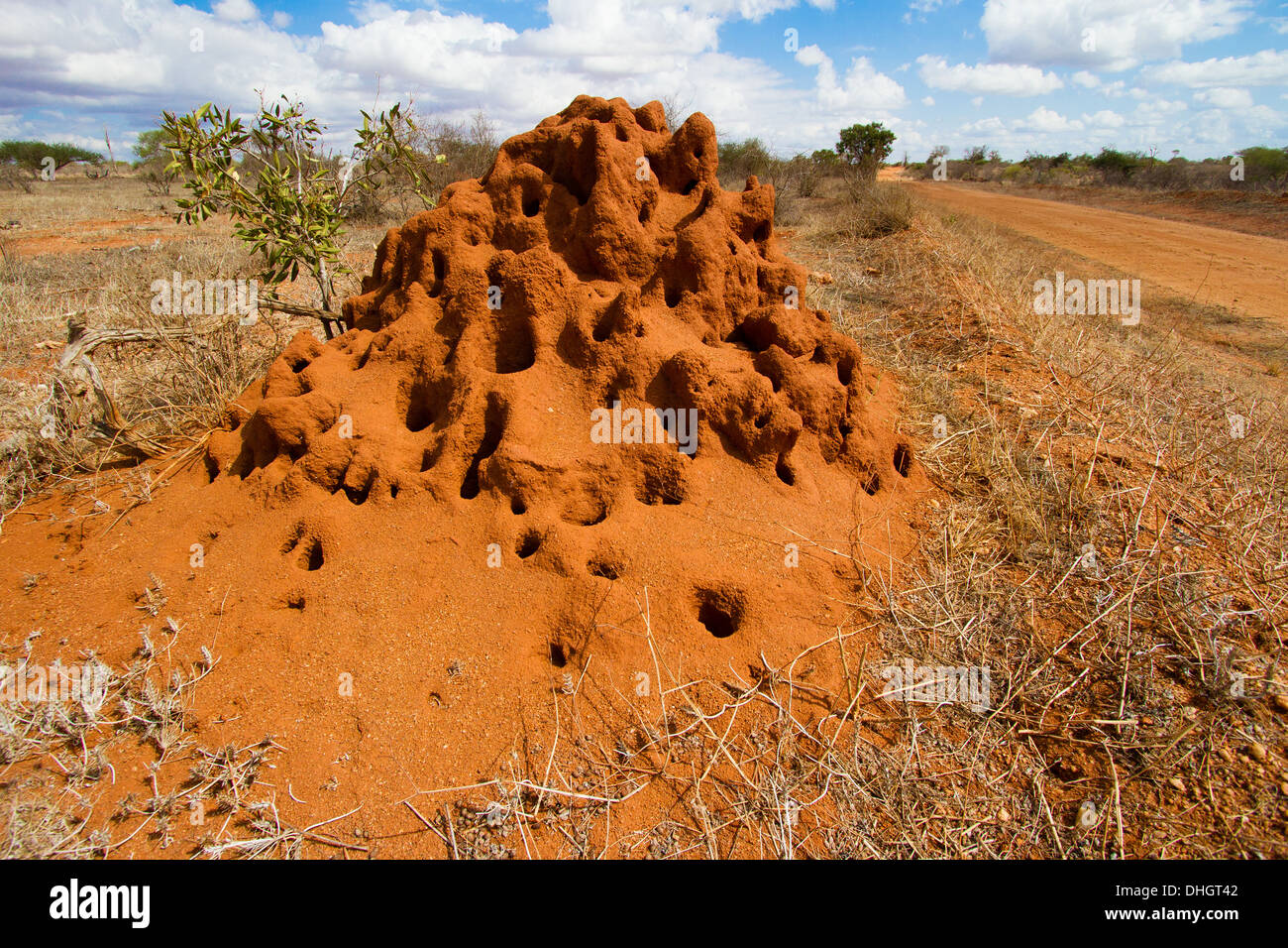 Termitière altérés par une piste de terre rouge à Tsavo East National Park dans le sud du Kenya Banque D'Images